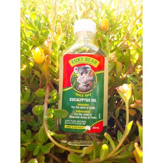 Dầu khuynh diệp Úc Euky Bear 60ml