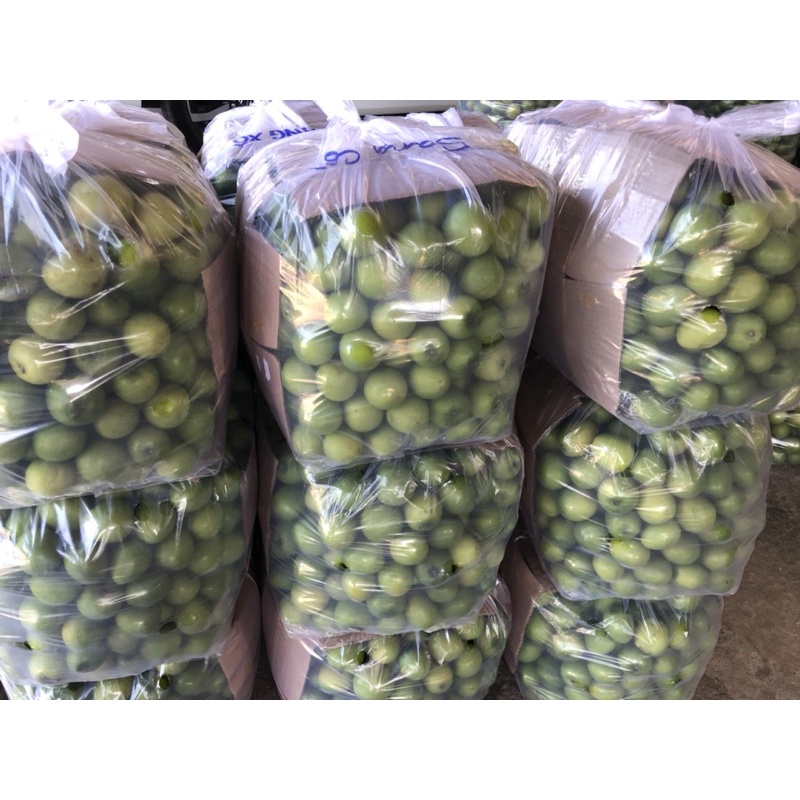 Táo tươi Ninh Thuận