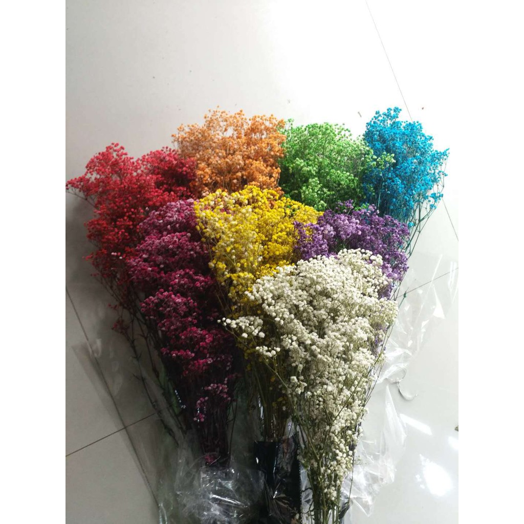 Bó hoa khô Baby bất tử 100g siêu đẹp (làm quà tặng - làm hoa cô dâu)