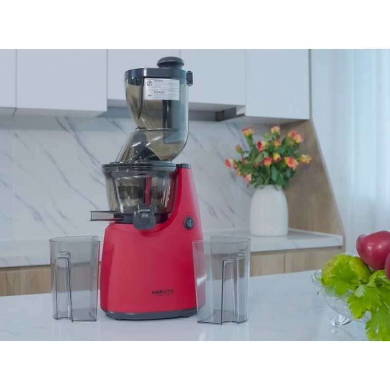 Máy ép chậm, Máy ép trái cây tốc độ chậm RH310, Thiết kế nhỏ gọn, Chất lượng cao cấp, Giữ được 95% lượng nước