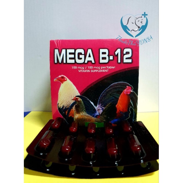 1 VỈ MEGA B12 DINH DƯỠNG CHO GÀ ĐÁ MAU LÊN NƯỚC MÁU