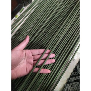 Kẽm cành loại to dài 60cm làm ĐÀO ĐÔNG ĐỎ