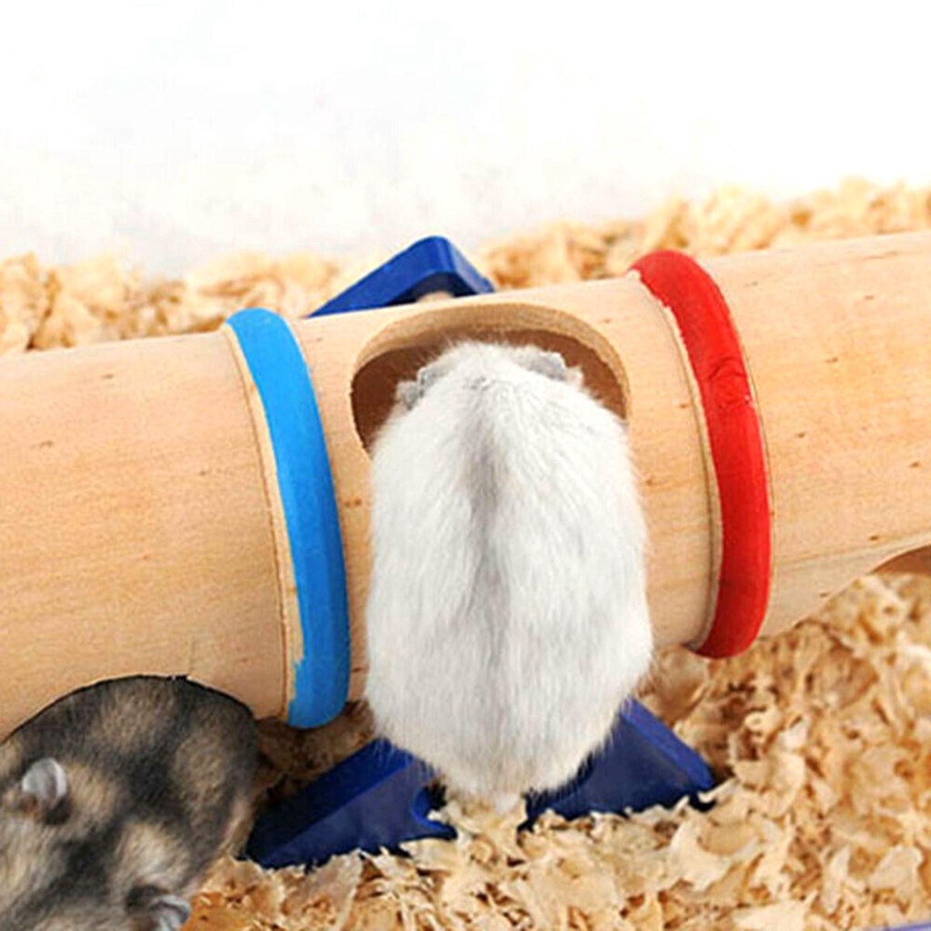 Đường Hầm Đồ Chơi Vui Nhộn Cho Chuột Hamster
