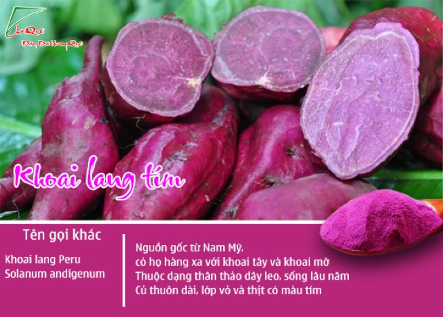 Bột khoai lang tím Chợ Quê 50g