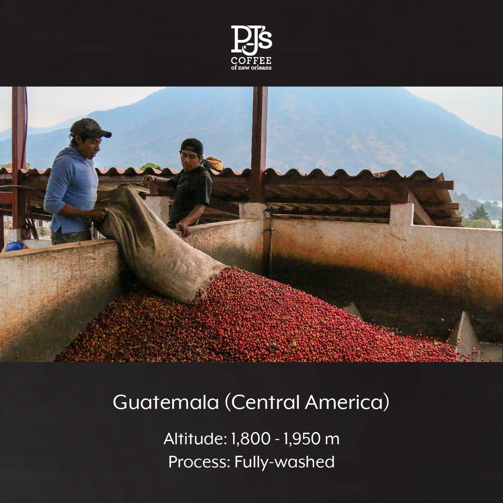 Cà Phê Arabica PJ’s Coffee Guatemala Antigua Rang Vừa - 454g