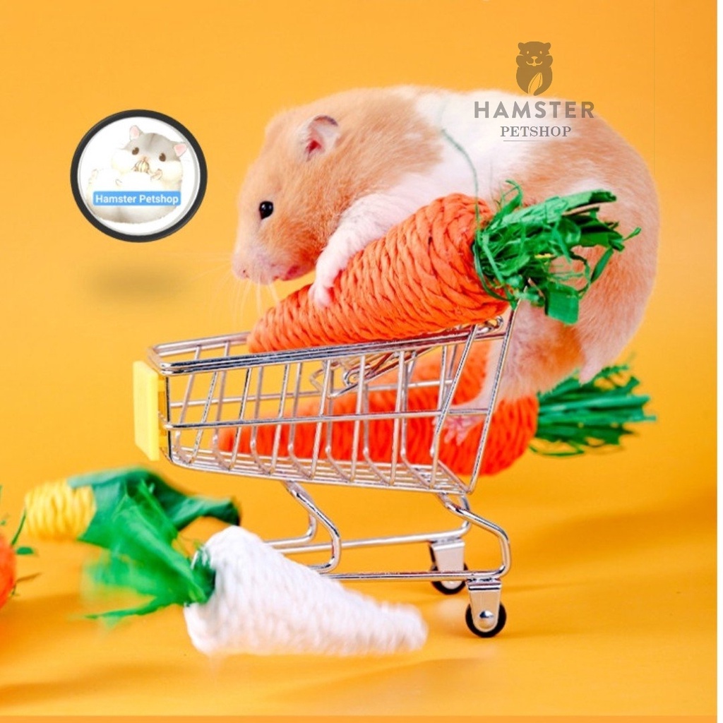 Cà rốt mài răng và trang trí chuồng cho Hamster