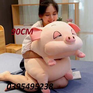 Lợn Híp lười biếng