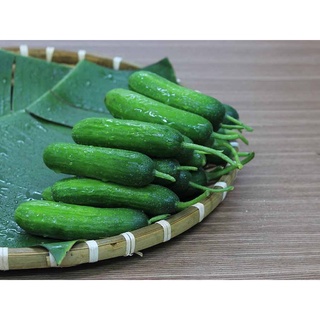 Dưa leo baby hữu cơ Đà Lạt