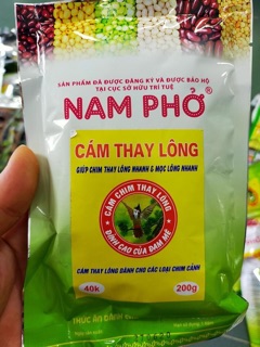 Cám thay lông Nam Phở