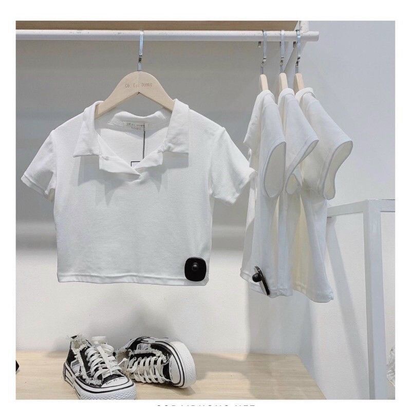 Áo croptop polo basic chất thun borip tôn dáng | BigBuy360 - bigbuy360.vn