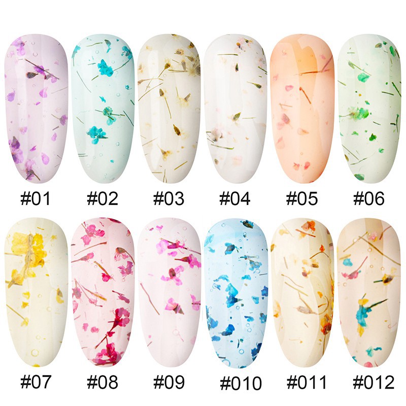 Gel sơn móng tay UV dung tích 8ml kiểu hoa khô tự nhiên