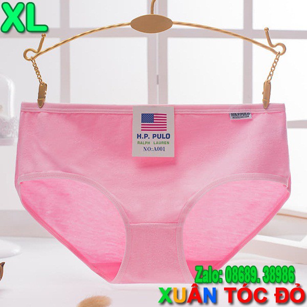 SỈ ZALO RẺ HƠN NHIỀU_ Quần Lót Cotton 15 Màu Siêu Đẹp H001 SIZE TO XL