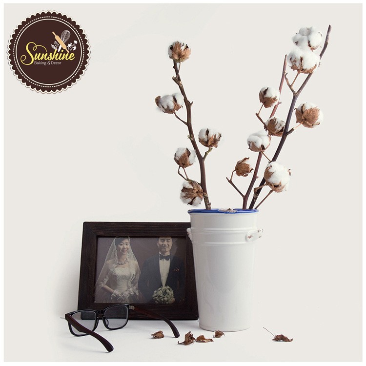 Cành Bông Gòn Khô Cotton Flower Trang Trí Chụp Ảnh - Thân Sắt - 5/7/10 Bông