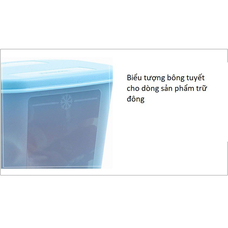 Tupperware hộp nhựa dẻo trữ đông trữ mát thực phẩm tủ lạnh dung tích 300ml TU17