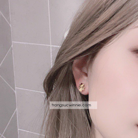 Hoa tai nữ titan Clover 2