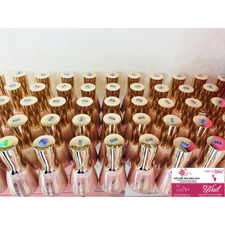 Sơn Gel Thạch BiMei