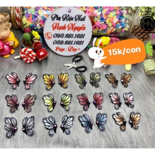 Bướm Bột set 2 con 30.000
