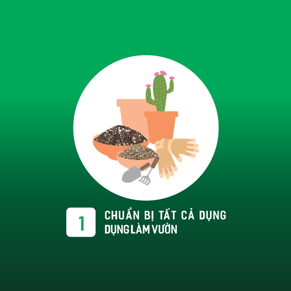 6KG SOIL MIX -giá thể, đất trồng sen đá, xương rồng thoát nước nhanh, cung cấp đủ chất dinh dưỡng cho cây