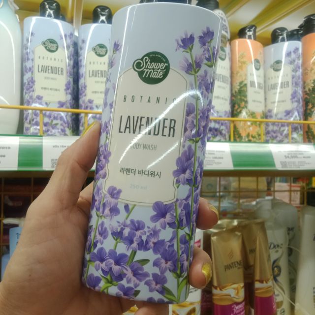 Sửa tắm thế hệ mới LanvenDer