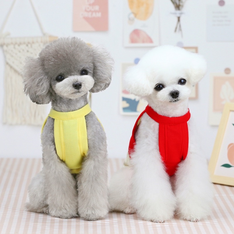 Áo ba lỗ sữa chua cute lạc lối cho cún miu