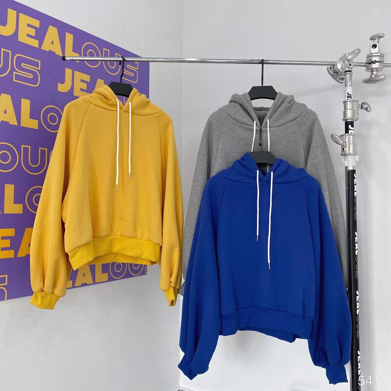 Áo hoodie nữ, áo hoodie crop trơn 5410 | BigBuy360 - bigbuy360.vn
