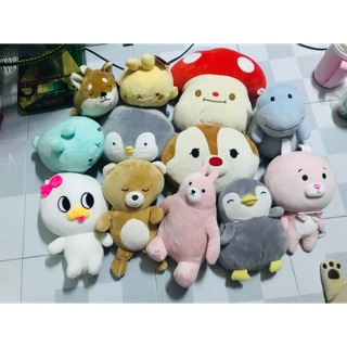 Lô gấu bông miniso