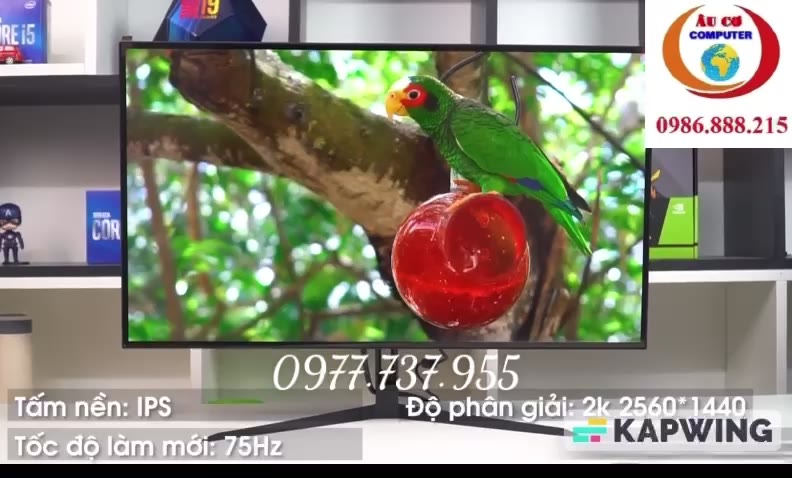 Màn hình LCD TOMKO / Full Viền/ Độ phân giải Full HD /Tấm nền IPS/ Tần số quét 75HZ - Hàng chính hãng | BigBuy360 - bigbuy360.vn