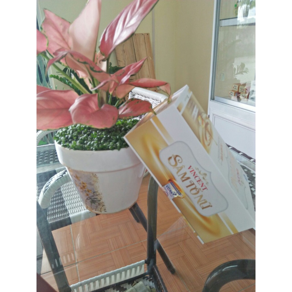 vincent SÂM TỐ NỮ | BigBuy360 - bigbuy360.vn