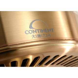 Quạt trần đèn trang trí HL-FAN6501TA