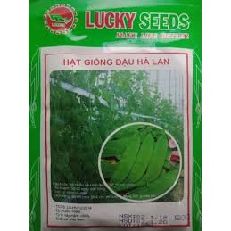 HẠT GIỐNG ĐẬU HÀ LAN GÓI 50G