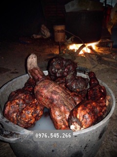 BỘT HÀ THỦ Ô ĐỎ - CỬU CHƯNG CỬU SÁI