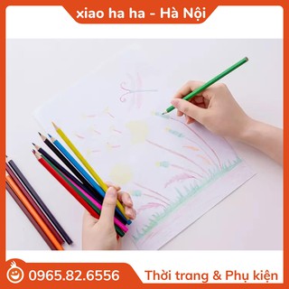 Hộp chì màu - Bút chì màu cực dễ thương đa dạng