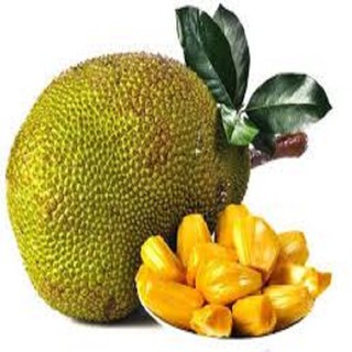 1kg Mít sấy vụn to