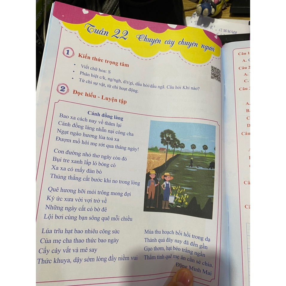 Sách - Bài tập tuần tiếng việt 2 tập 2 ( Cánh diều )