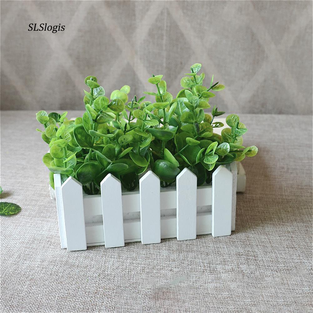 Chậu Cây Bạch Đàn Giả Bằng Nhựa Dùng Trang Trí