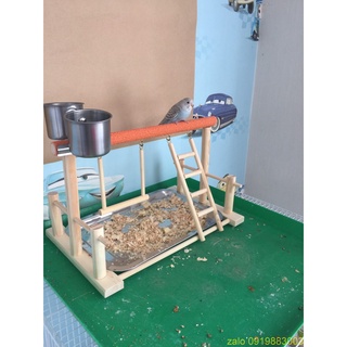 Cầu Đứng Cho Vẹt Bằng Gỗ