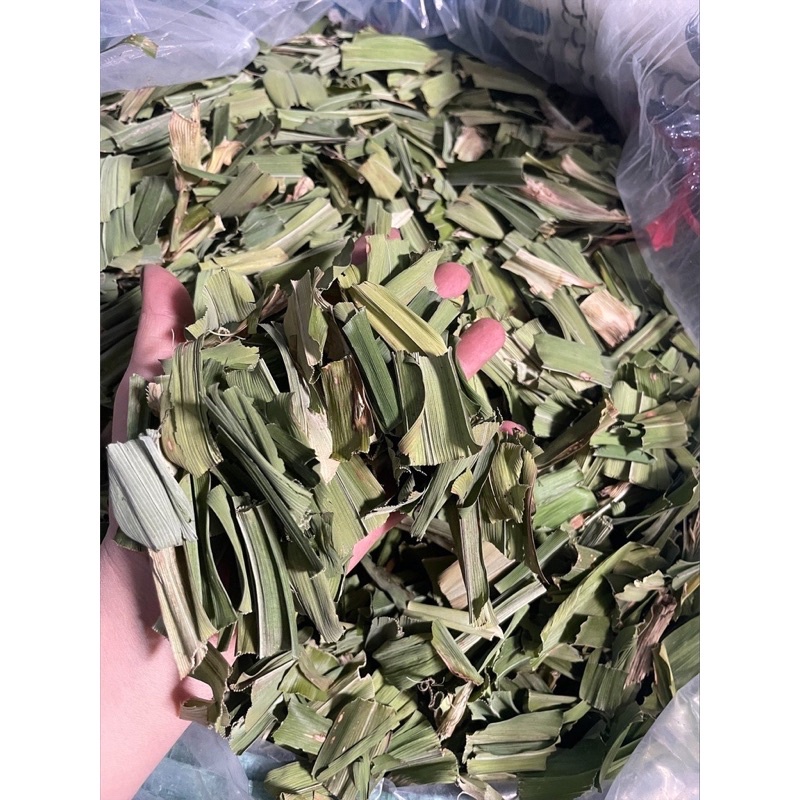 100g lá dứa lá nếp khô cực thơm