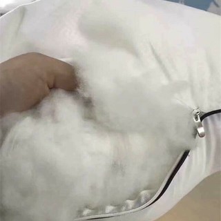 Ruột Gối Hitton ( 2 chiếc )