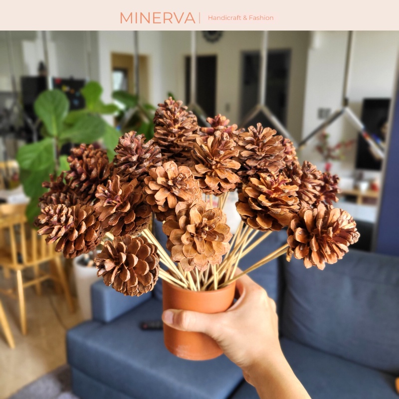 [TRANG TRÍ] Cành quả thông khô trang trí nhà cửa 20 - 25 cm