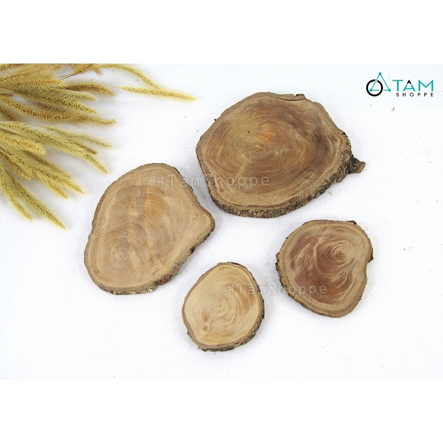 Lót ly lát cây gỗ tự nhiên nhiều kích cỡ  LOTLY-02