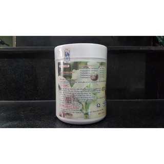 PHÂN VI SINH VẬT TKS- TRICHODERMA