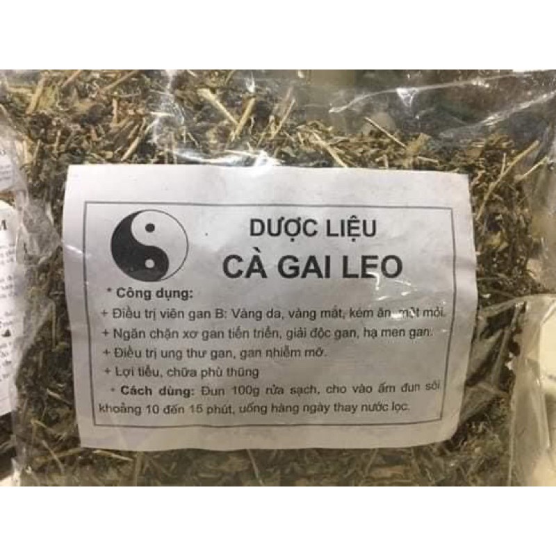 Cà gai leo chữa viêm gan- giải độc gan 1kg | BigBuy360 - bigbuy360.vn