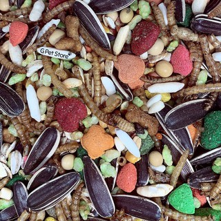 Thức ăn hamster siêu dinh dưỡng