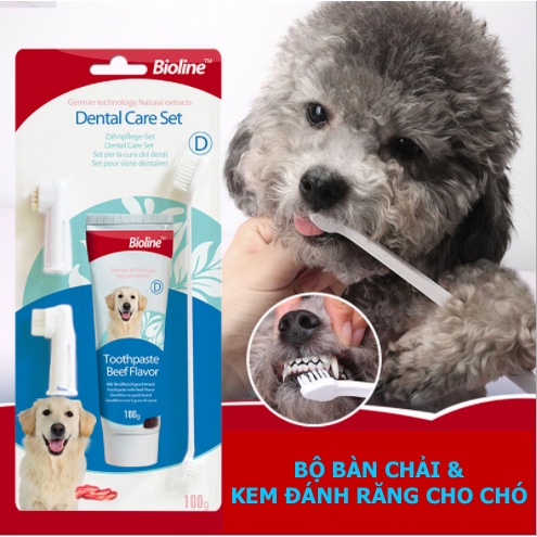 Bộ Bàn Chải &amp; Kem Đánh Răng Cho Chó Bioline Dental Care 100g