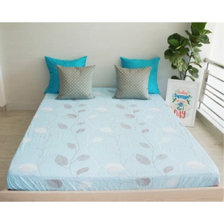 Ga chống thấm cotton cao cấp