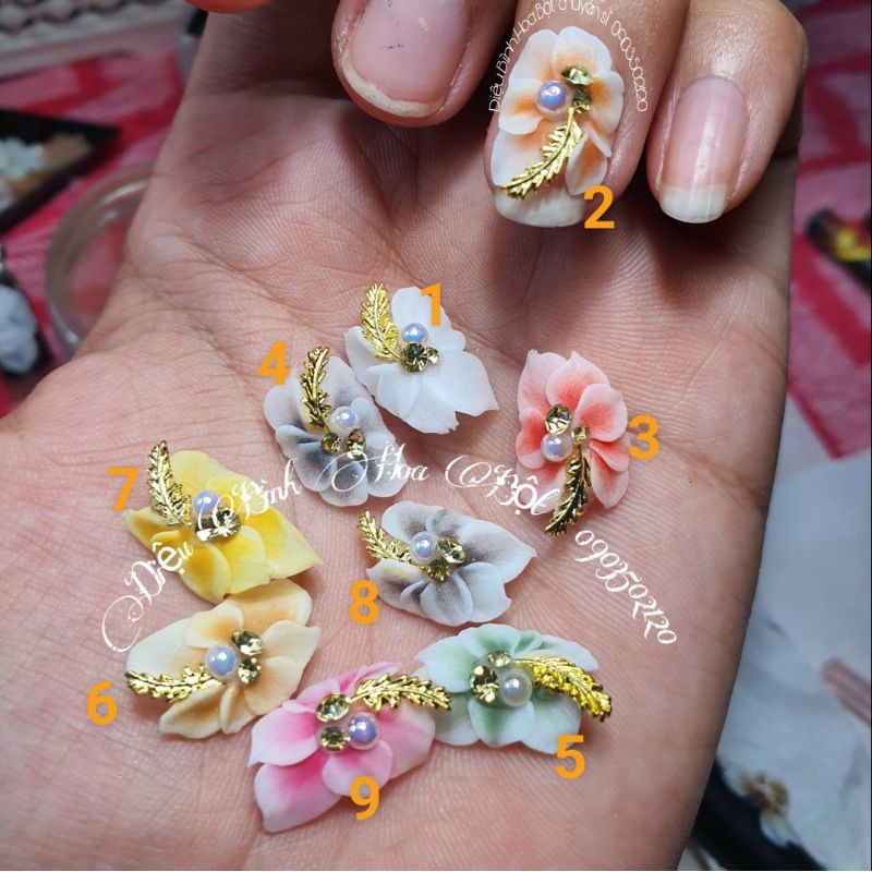 Hoa bột Nails