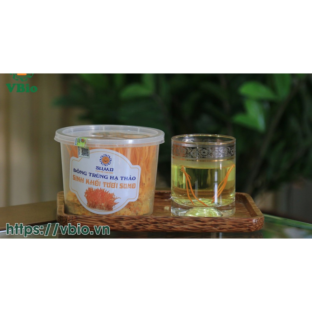 ĐÔNG TRÙNG HẠ THẢO TƯƠI