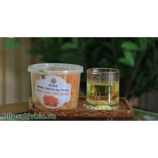 Đông trùng hạ thảo tươi