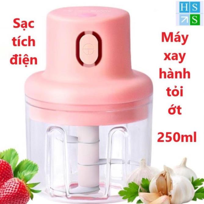 Máy xay mini cầm tay đa năng sạc pin cổng USB không dây xay tỏi ớt hành rau củ quả dung tích 250ml - HS Shop Thủ Đức