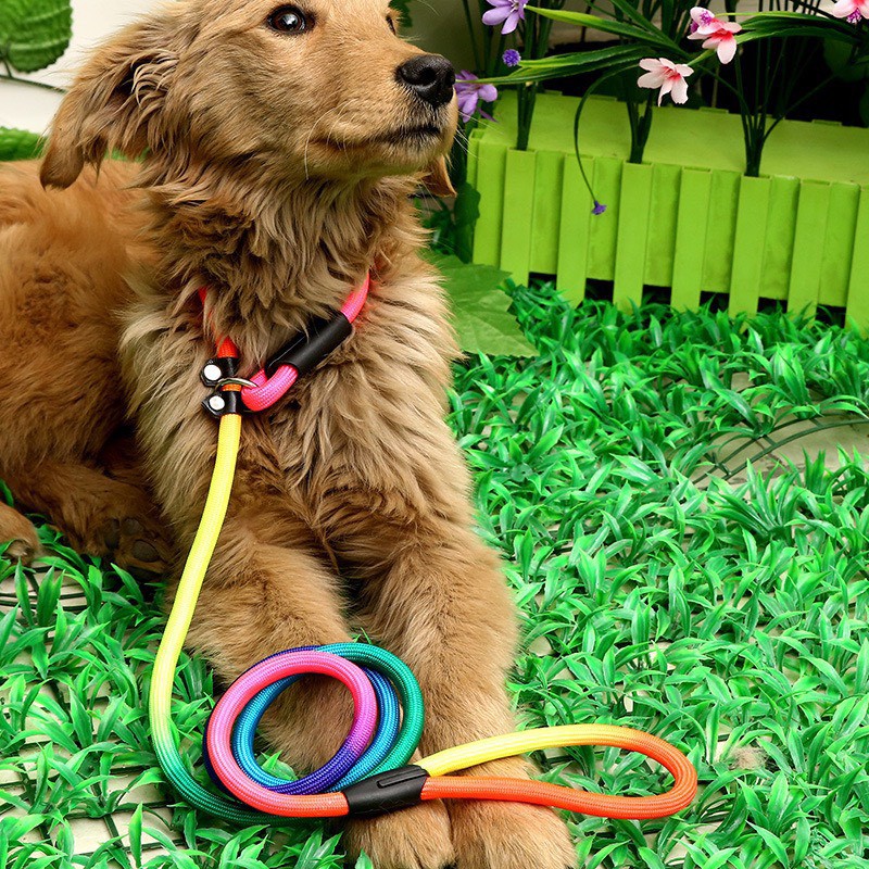 Dây dắt thú cưng cầu vồng nhiều màu sắc có thể điều chỉnh mọi kích cỡ